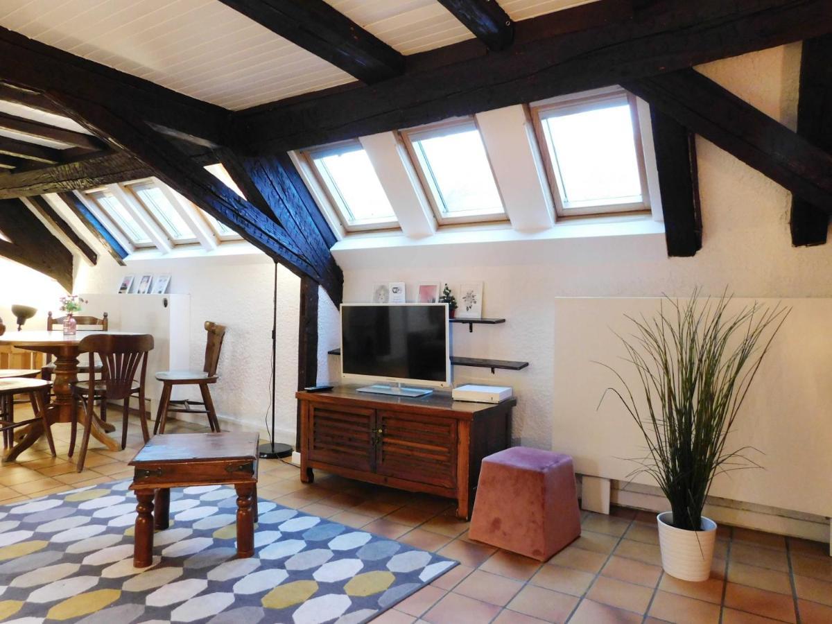 Appartement Typique Et Cosy A Deux Pas De La Cathedrale Страсбург Экстерьер фото